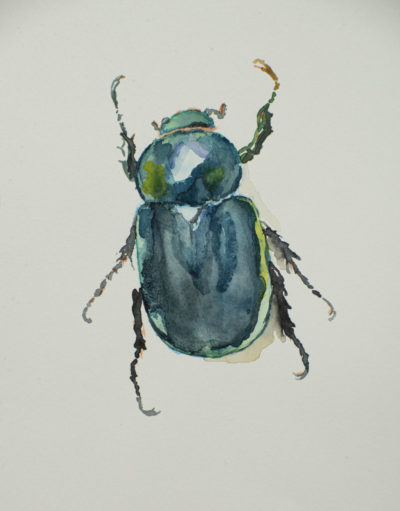 TN_gezeichnet_BlauerJung_1002_rgb_191126
