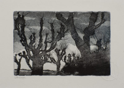 TN_gezeichnet_Wittenbergen_rgb_191120